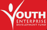 Youth Fund Logo